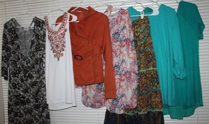 lot 160 image: Womens Plus Size Clothes Dress, Blouses, Pants and Skirts, xxl, xl Cato, Coldwater Creek