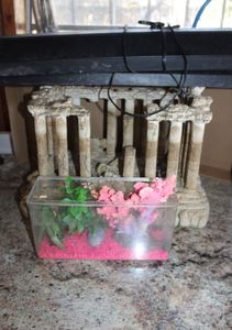 lot 247 image: Fish Tank Supplies