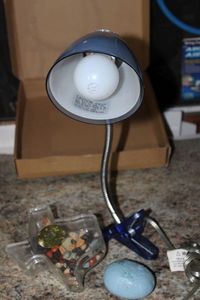 lot 288 image: Clip on desk lamp and river rocks