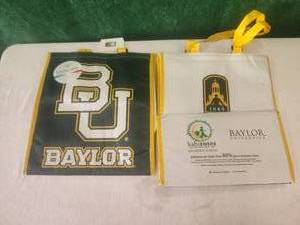 lot 201 image: Case of insulatotes - Baylor - insulated totes