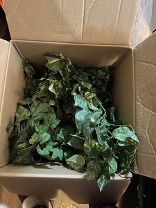 lot 85 image: Box of vine decor