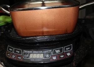 lot 70 image: Nuwave induction burner and pan