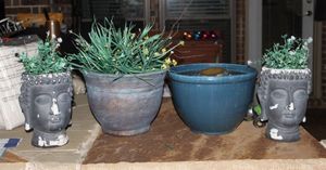 lot 126 image: Planters with Plants