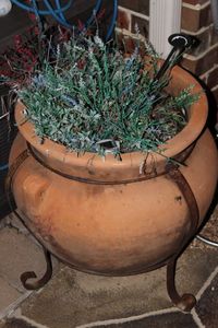 lot 131 image: Large terracotta Pot with Plant