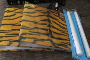 lot 339 image: Photo Albums and Candles