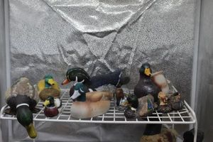 lot 54 image: Decoy and Decorative Ducks