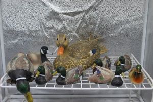 lot 97 image: Decoy and Decorative Ducks