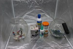 lot 114 image: Fish Bowls and Fish chemicals