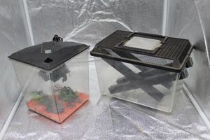 lot 113 image: Fish Tank .5 Gallon and Reptile Tank