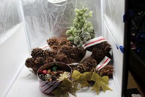 lot 227 image: Table top Christmas Tree, Pinecones, and Tin of Dcor, Gold sparkly Bows