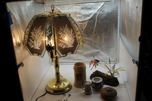 lot 229 image: Beautiful Touch lamp and dcor