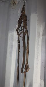 lot 196 image: Horse Bridle set log spurs