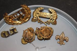 lot 273 image: ROTC Pins