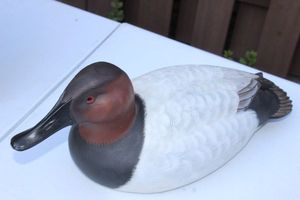 lot 228 image: Hand Carved Canvas Back Decoy duck