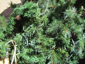 lot 215 image: 2 wreaths