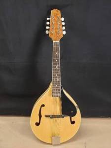 lot 54 image: Beautiful Johnson MA-120-N Louisville Mandolin w Bag