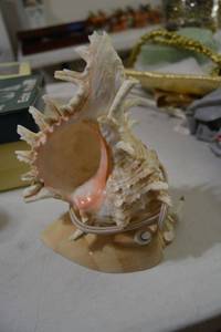 lot 53 image: Home dcor - Conch shell lights, glass votive candle holders