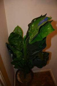 lot 332 image: Artificial plant - about 4 ft. tall