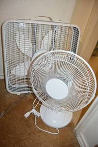 lot 194 image: Fans