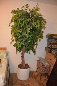 lot 246 image: Artificial tree - 7-8 ft. tall