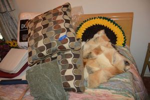 lot 279 image: Decorative and bed pillows with blanket plus folders