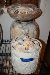 lot 502 image: Shells
