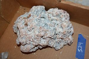 lot 524 image: Coral rock