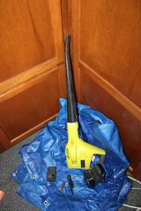 lot 972 image: Ryobi Leaf Blower and tarps