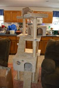 lot 9 image: Cat Climbing tree stand