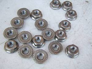 lot 115 image: nuts 1