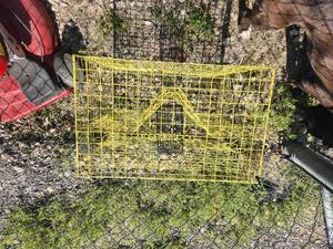 lot 38 image: Crab trap