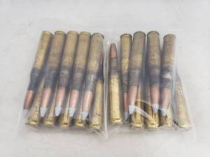 lot 1392 image: Lot of 19 Rounds of .50CAL Silver Tip Armor Piercing Incendiary Ammo