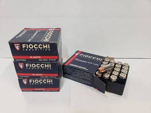 lot 1154 image: Fiocchi Extrema XTP .45ACP 200gr Jacketed Hollow Point Ammo - 25 Rounds Per Box - QUANTITY 4 - BID IS TIMES THE QUANTITY