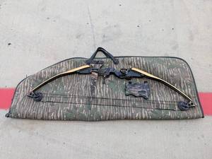 lot 214 image: Darton Compund Bow Trailmaster
