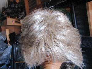 lot 65 image: WIGS BY TONY of  Beverly