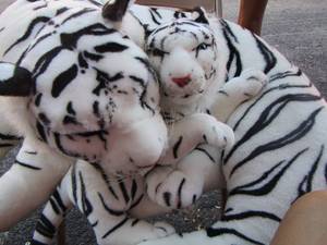 lot 311 image: STUFFED  Tiger and cub