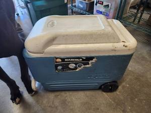lot 300 image: Igloo rolling 5 day cooler