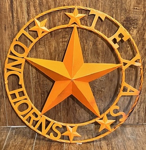 lot 13 image: Texas Longhorns IndoorOutdoor Hanging Metal Wall ArtSign