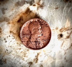 lot 130 image: 1926 D Wheat Penny W Die Break on Reverse