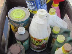 lot 161 image: chemical lot used, borer killer, ortho systemic insect killer, flea and tick killer, and more