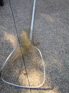 lot 177 image: fishing net