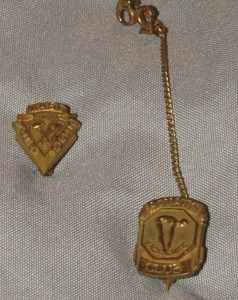 lot 310 image: VINTAGE CLUB PINS - AQUATICS  & MABI