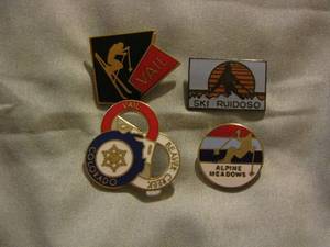 lot 313 image: SKI  PINS  QTY 4