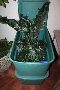 lot 333 image: Artificial greenery - 2 totes