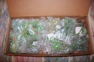lot 351 image: Fire Mountain beads - Green