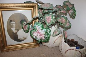 lot 572 image: Shell shaped planters and gold framed photo