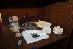 lot 602 image: Glass crystal fish bowls, corals, shark teeth, and shell nightlight