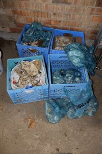 lot 888 image: Shell assortment