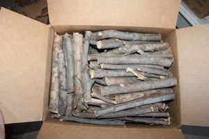 lot 877 image: Applewood branches
