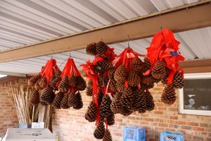 lot 873 image: Pine cones with red ribbons